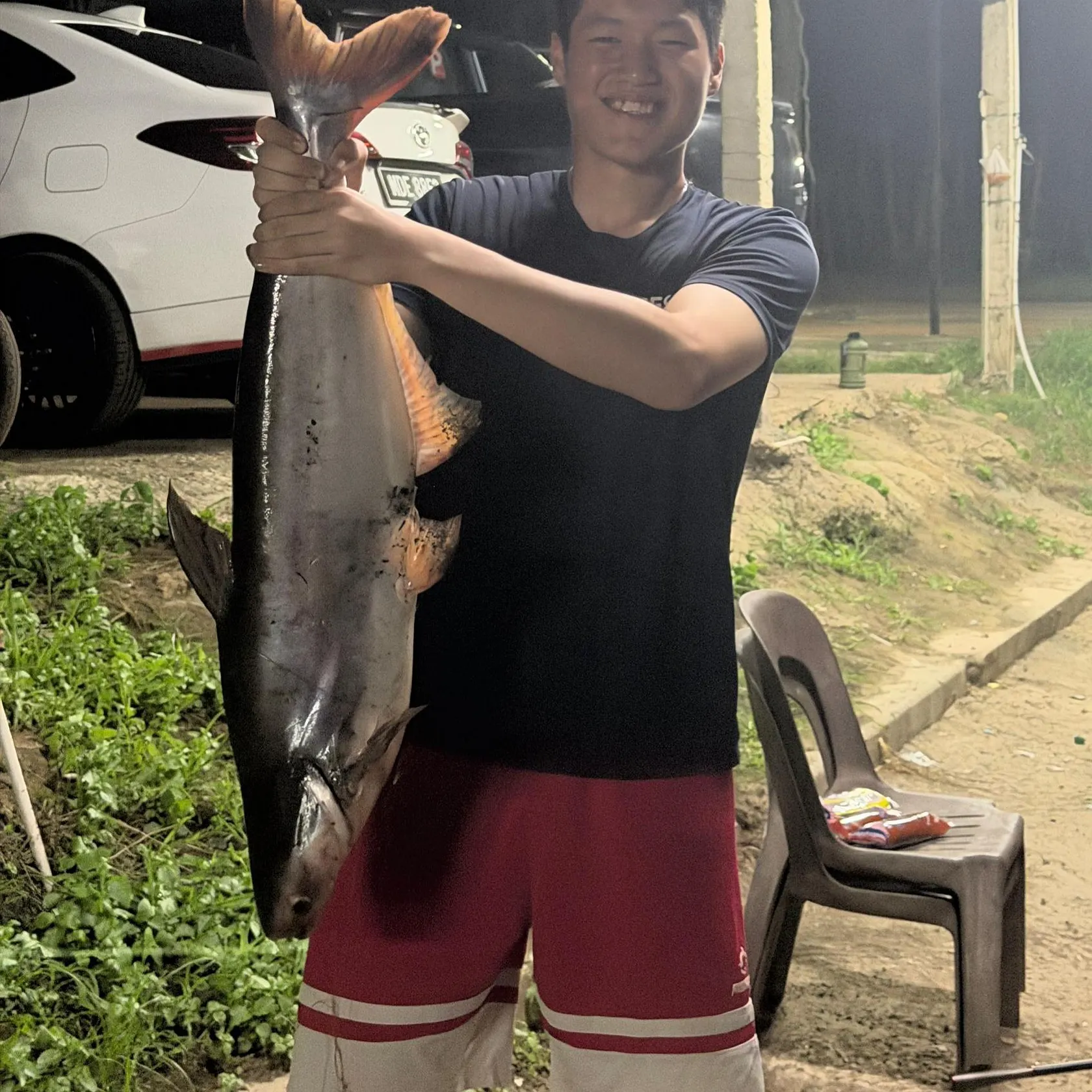The most recent Yellowtail catfish catches on Fishbrain