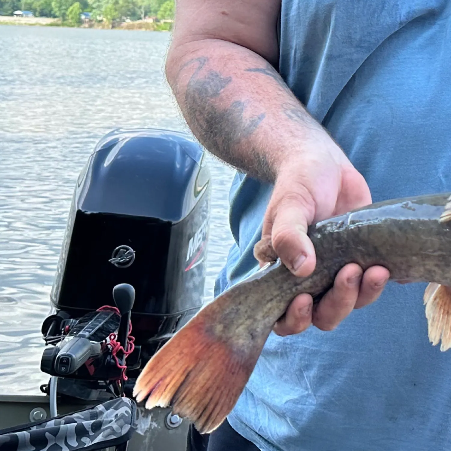 angler catch