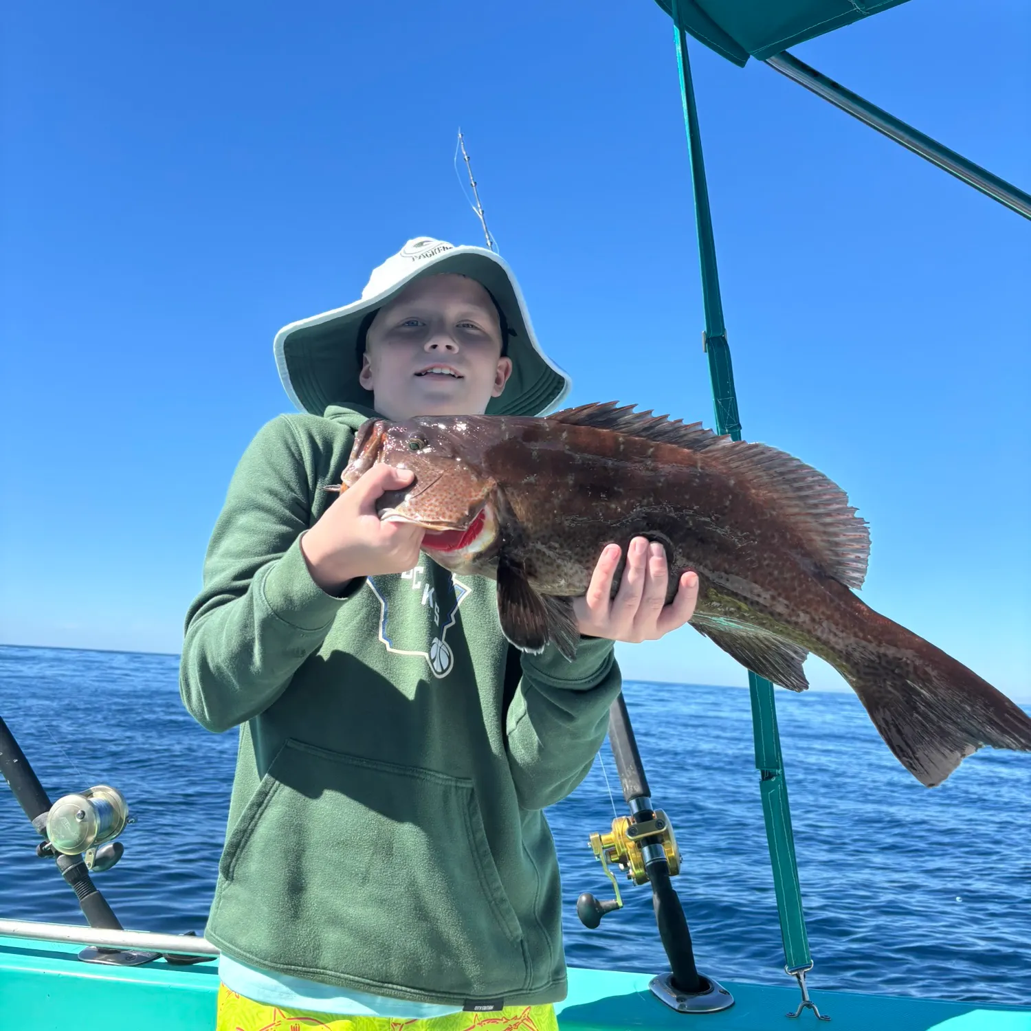 Red grouper caught on Fishbrain