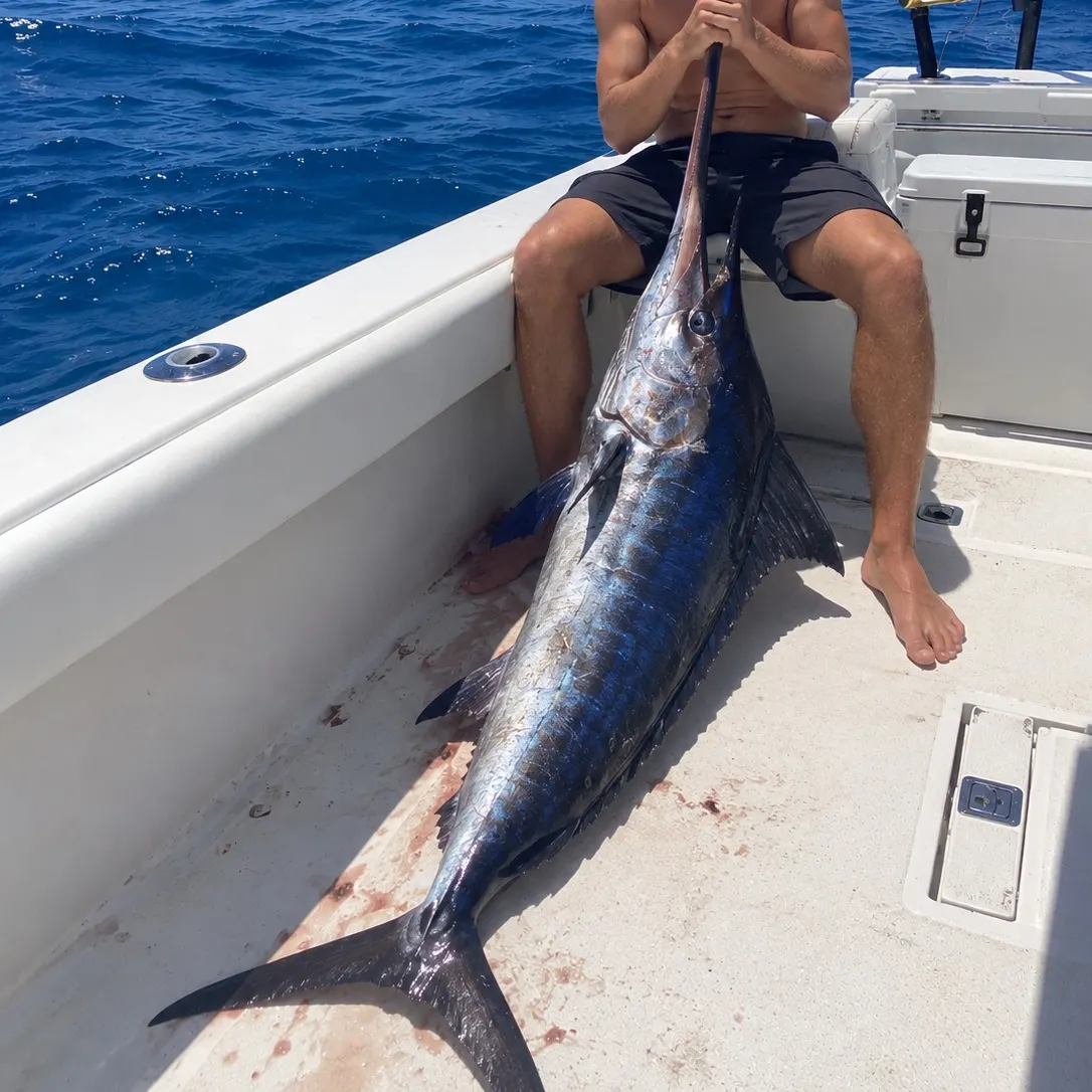 Fish caught on Fishbrain