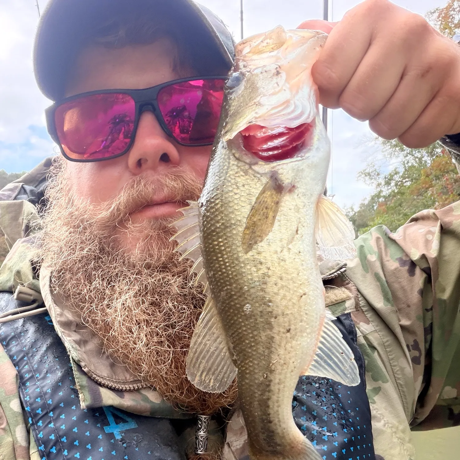 Largemouth bass caught on Fishbrain