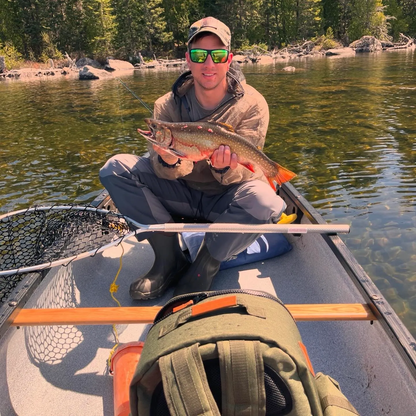 Brook trout caught on Fishbrain
