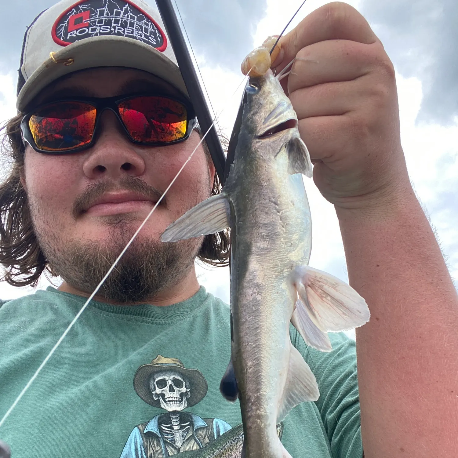 The most recent Hardhead sea catfish catches on Fishbrain