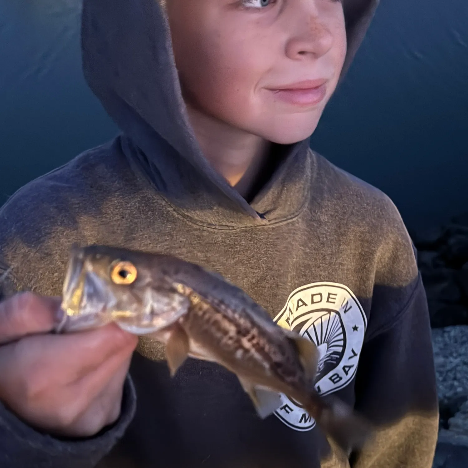 The most recent Goldspotted sand bass catches on Fishbrain