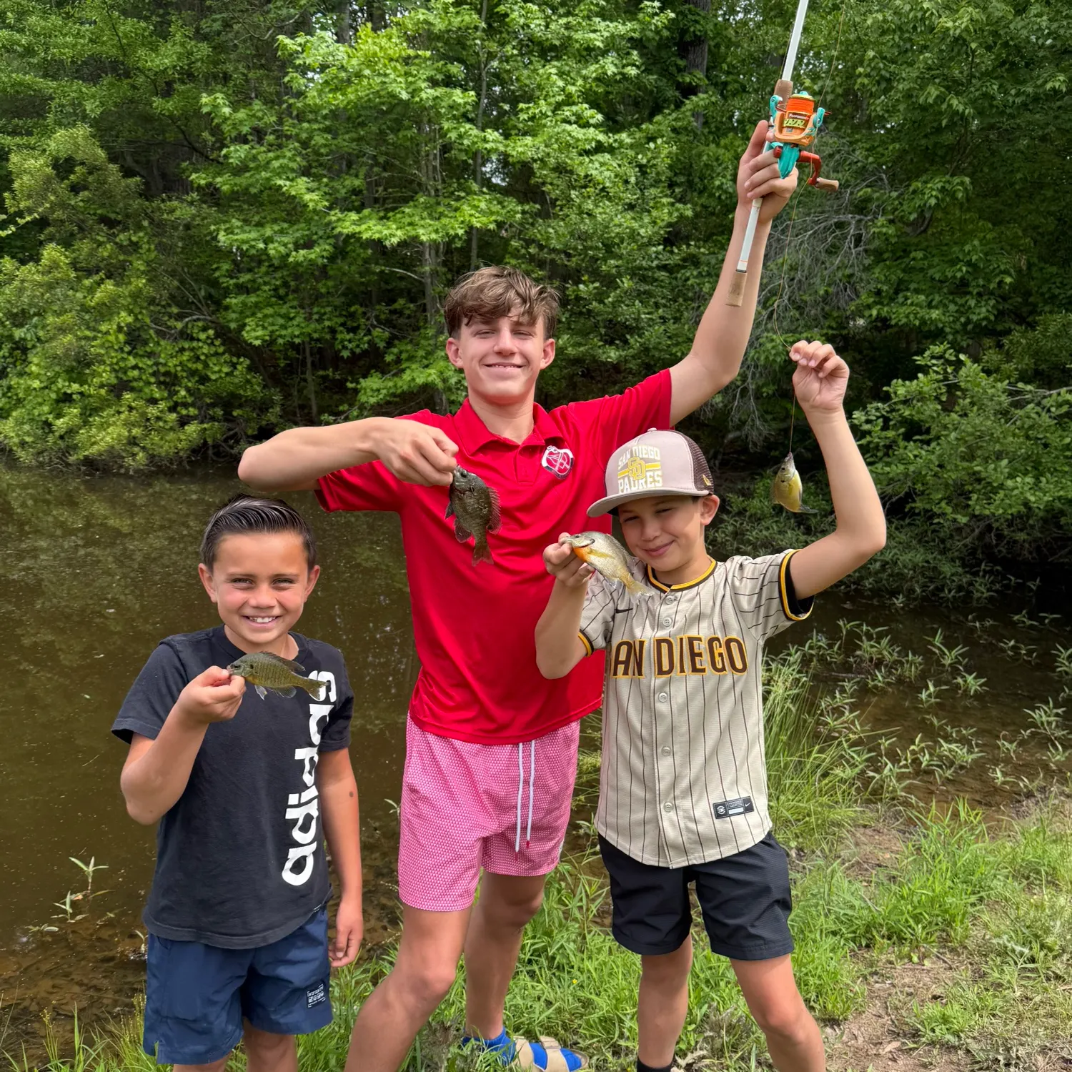 recently logged catches