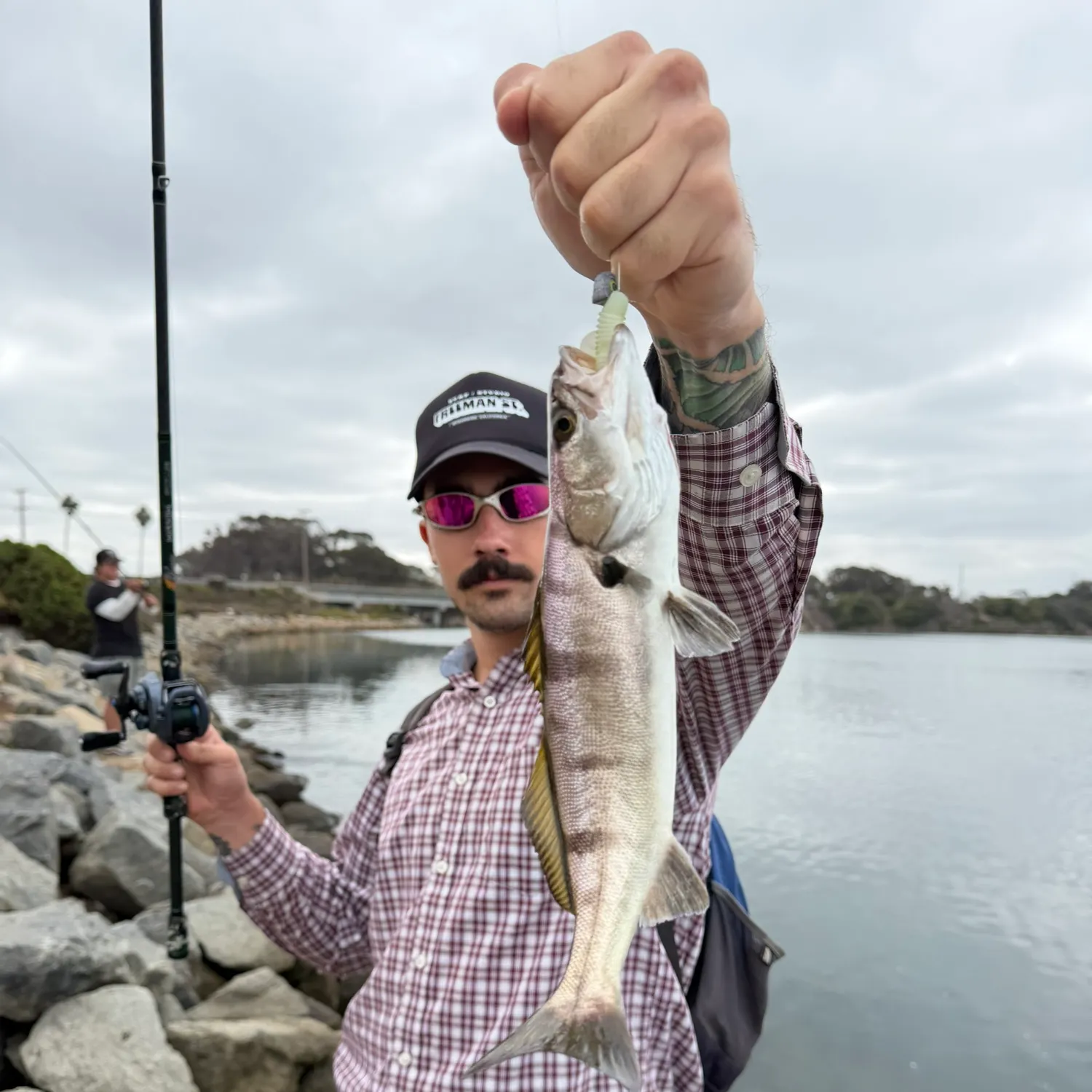 Barred sand bass caught on Fishbrain