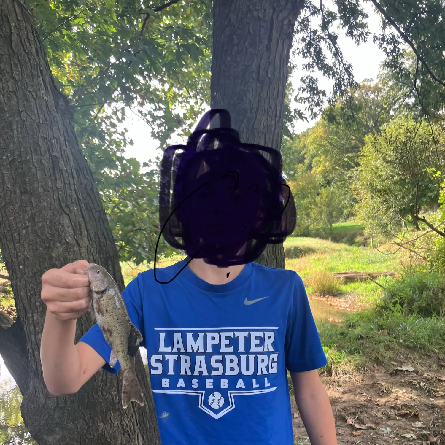 Creek chub caught on Fishbrain