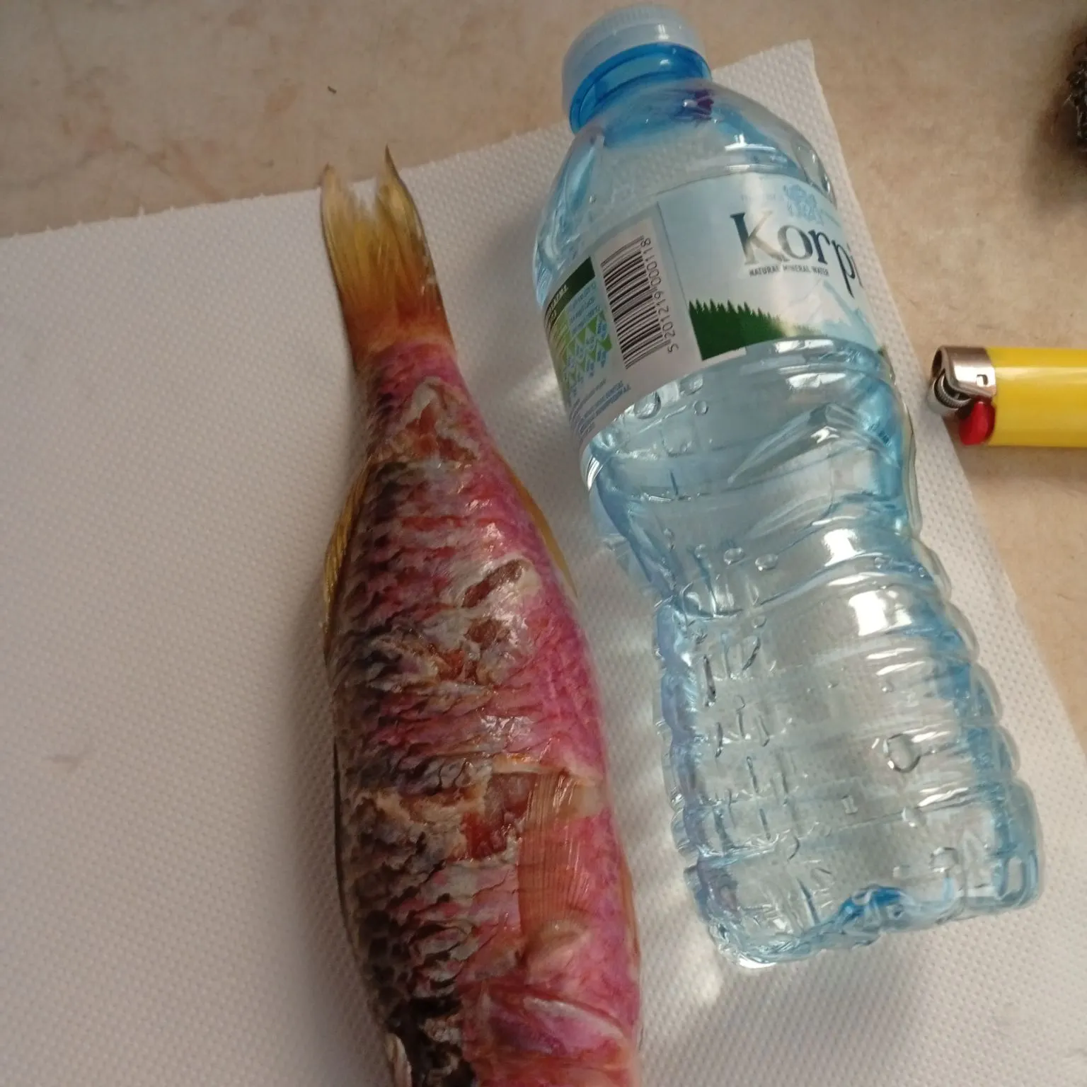 The most recent Striped red mullet catches on Fishbrain