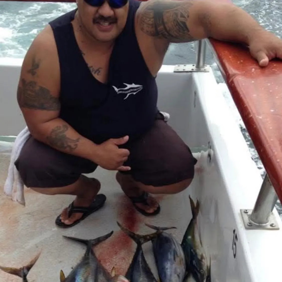 The most recent California yellowtail amberjack catches on Fishbrain