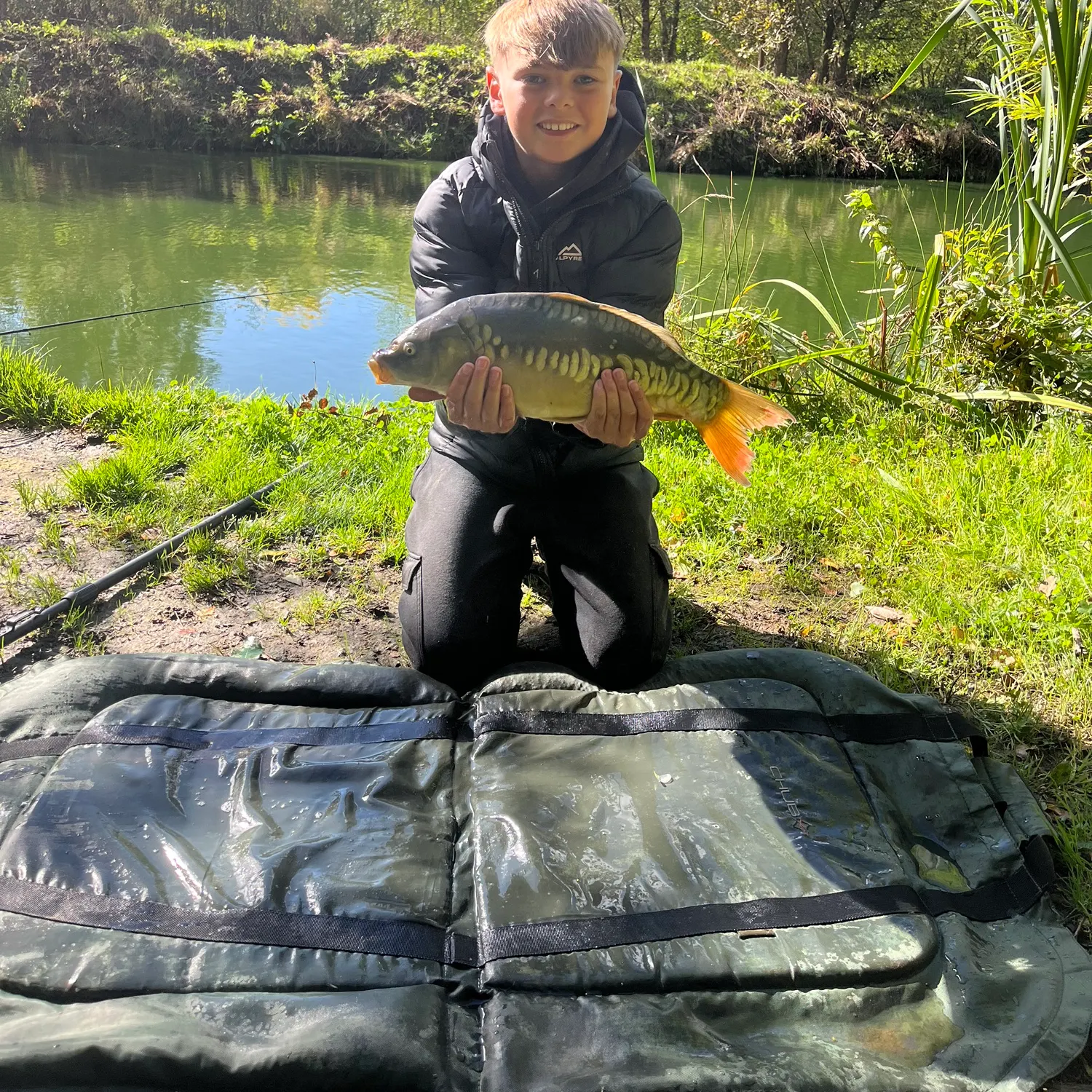 Mirror carp caught on Fishbrain