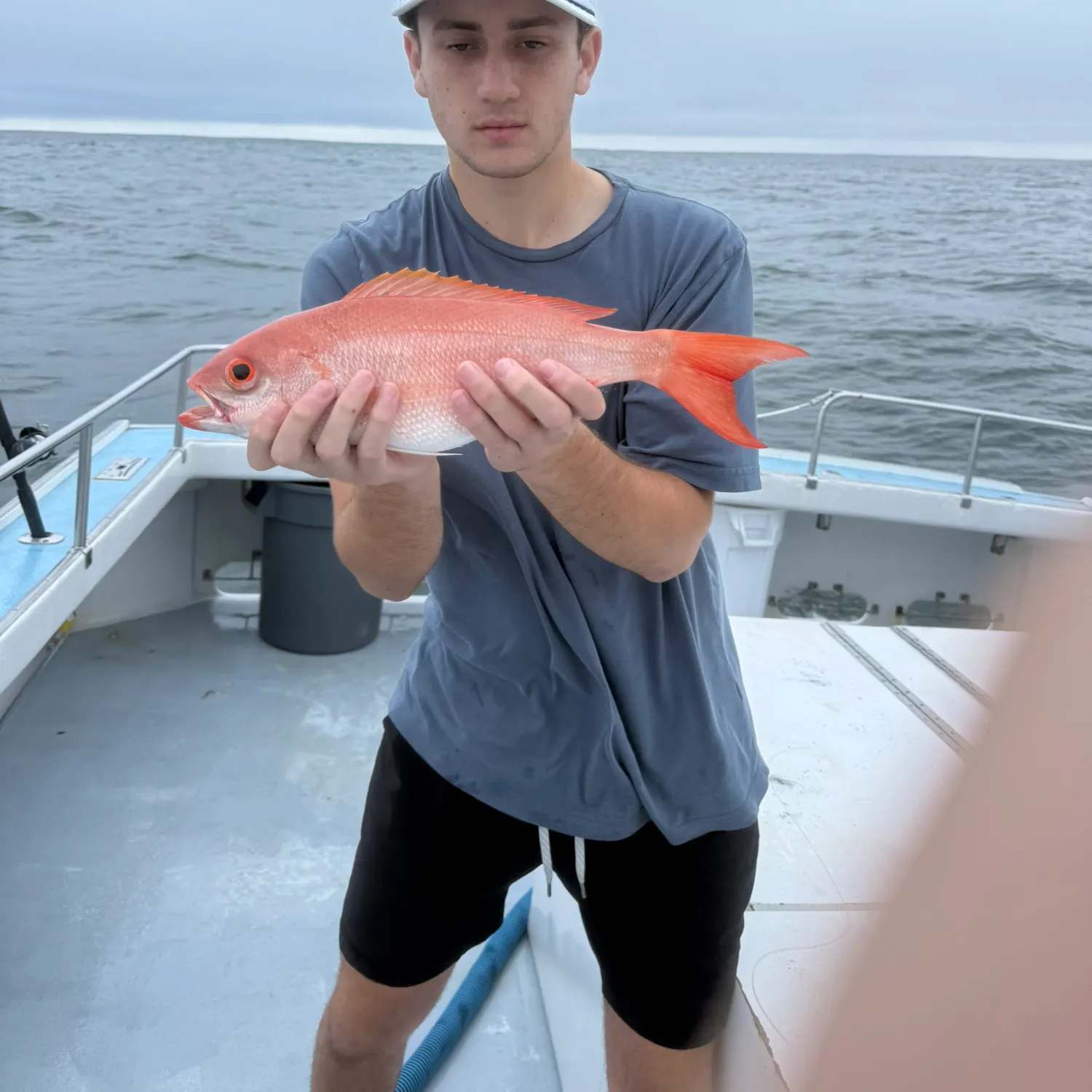 The most recent Vermilion snapper catches on Fishbrain
