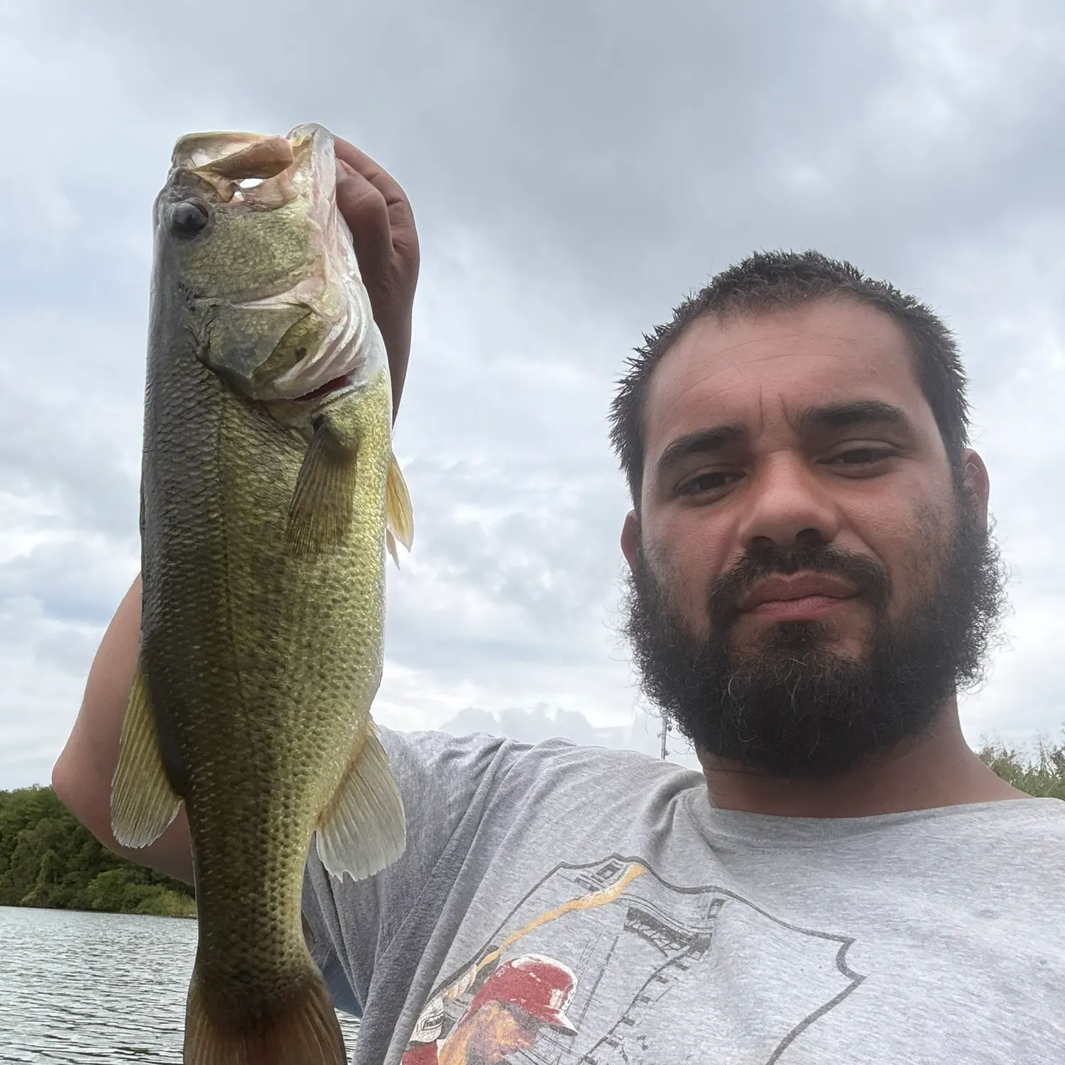 Largemouth bass caught on Fishbrain