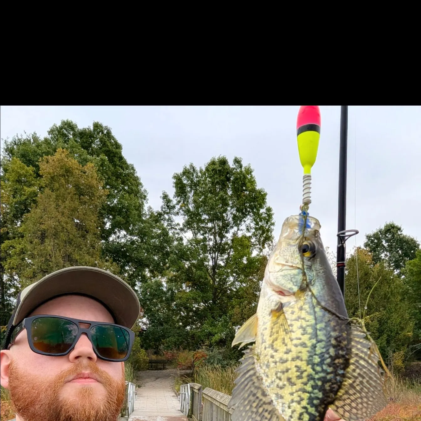 Black crappie caught on Fishbrain