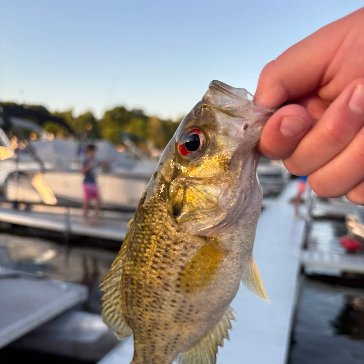 catch