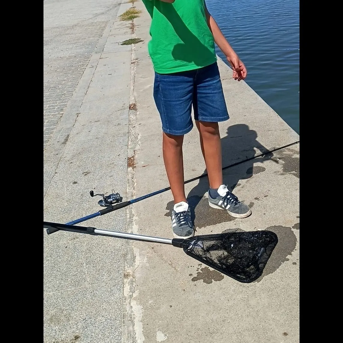 Striped mullet caught on Fishbrain