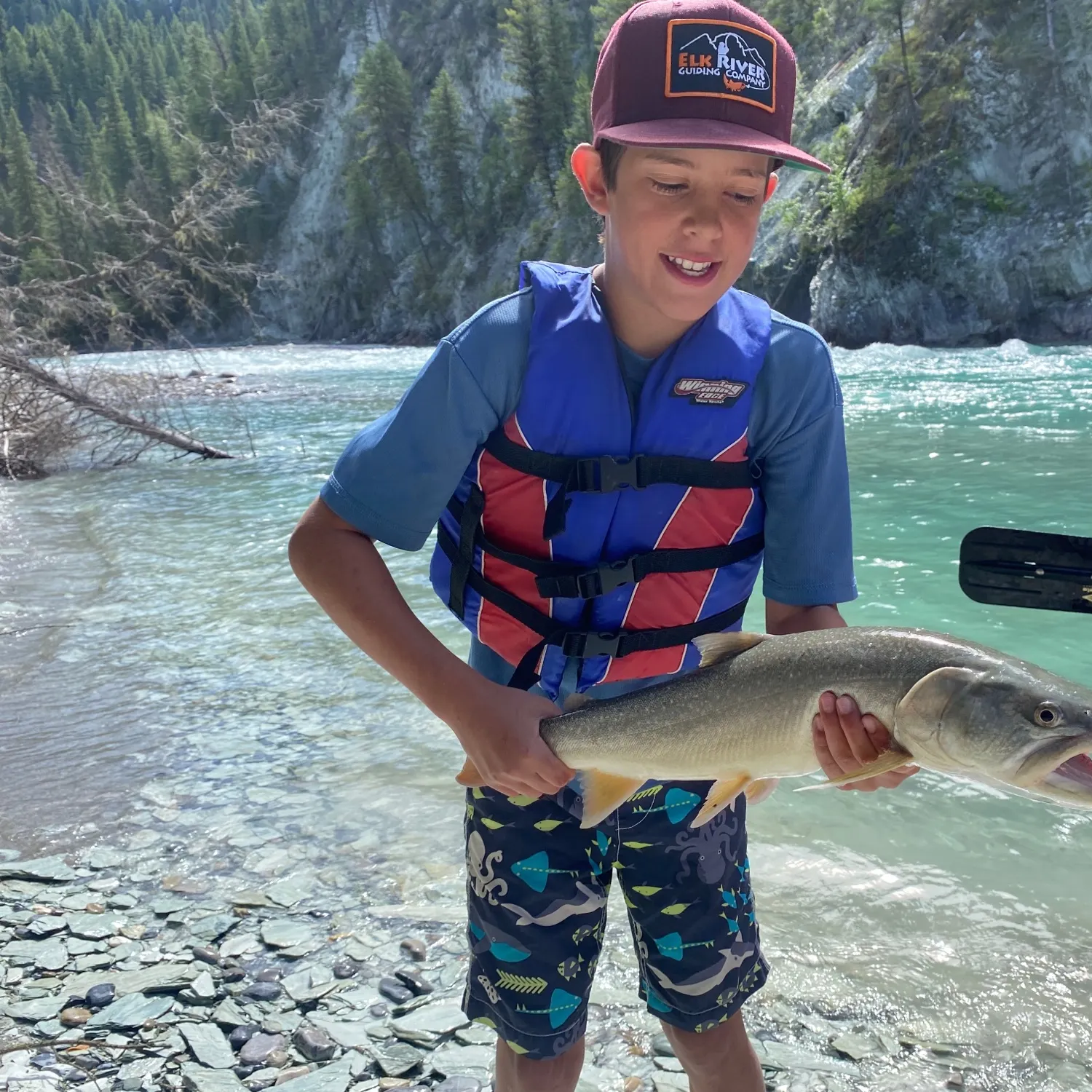 Bull trout caught on Fishbrain