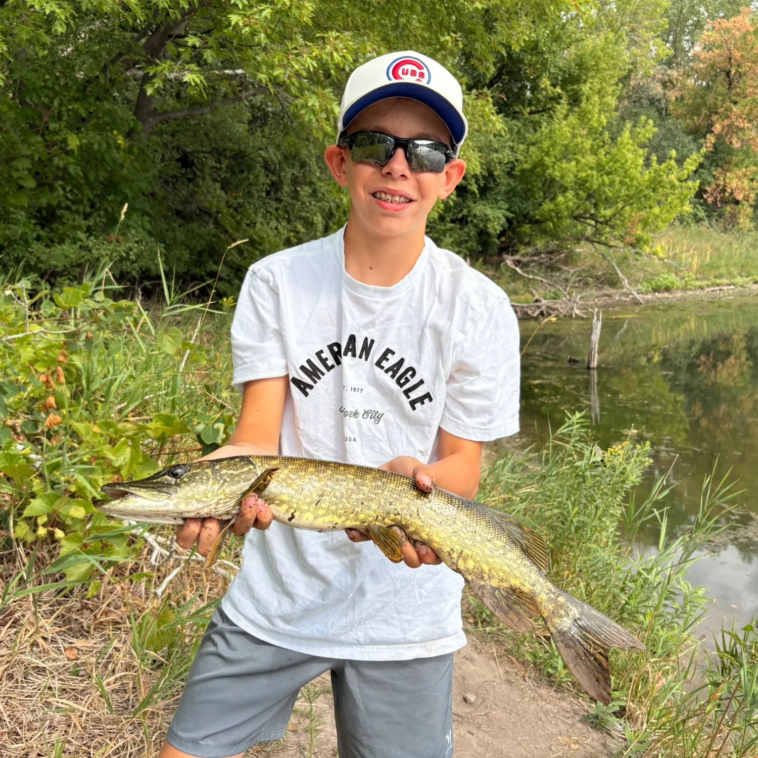 Northern pike caught on Fishbrain