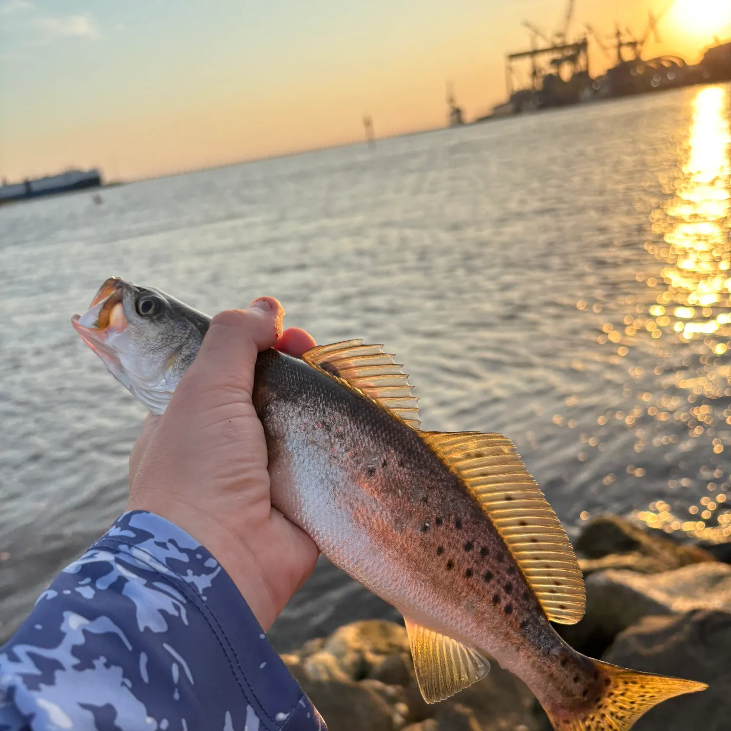 catch
