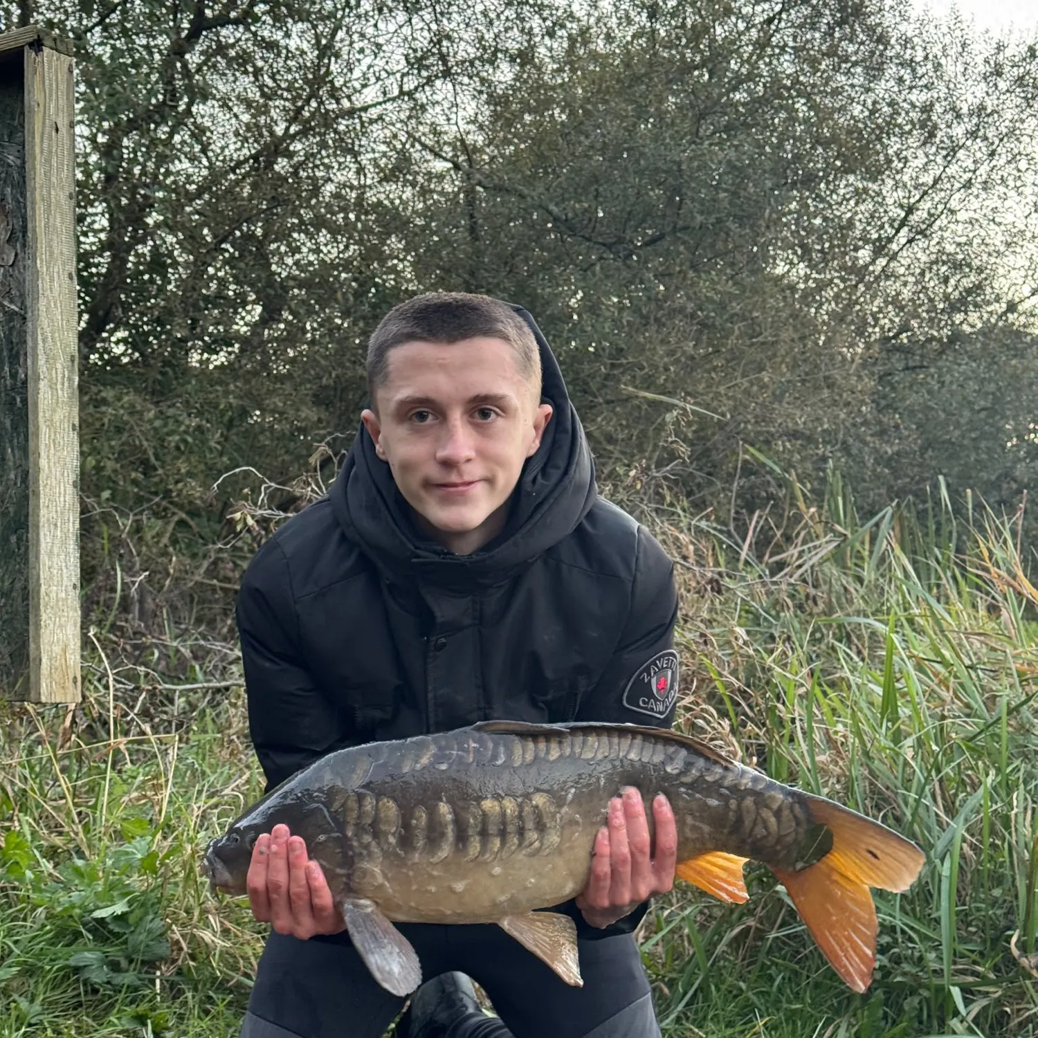 Mirror carp caught on Fishbrain