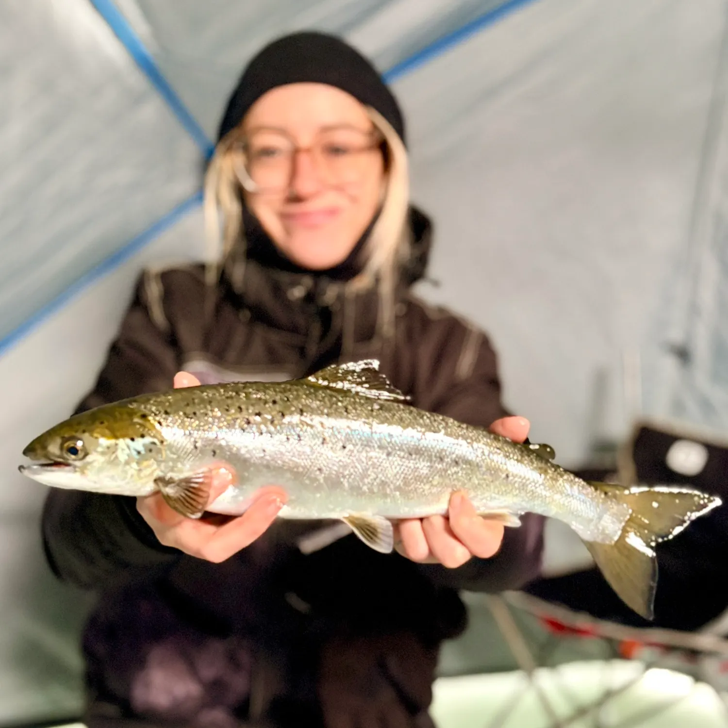 The most recent Landlocked atlantic salmon catches on Fishbrain