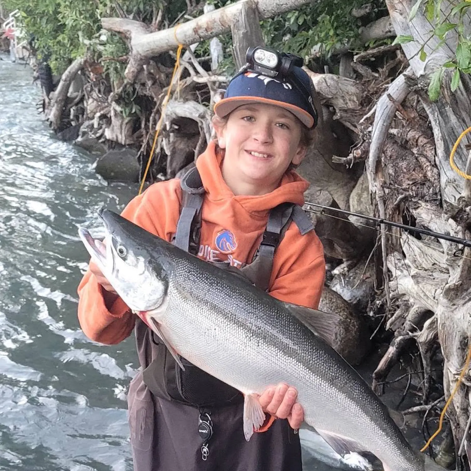 The most recent Sockeye salmon catches on Fishbrain