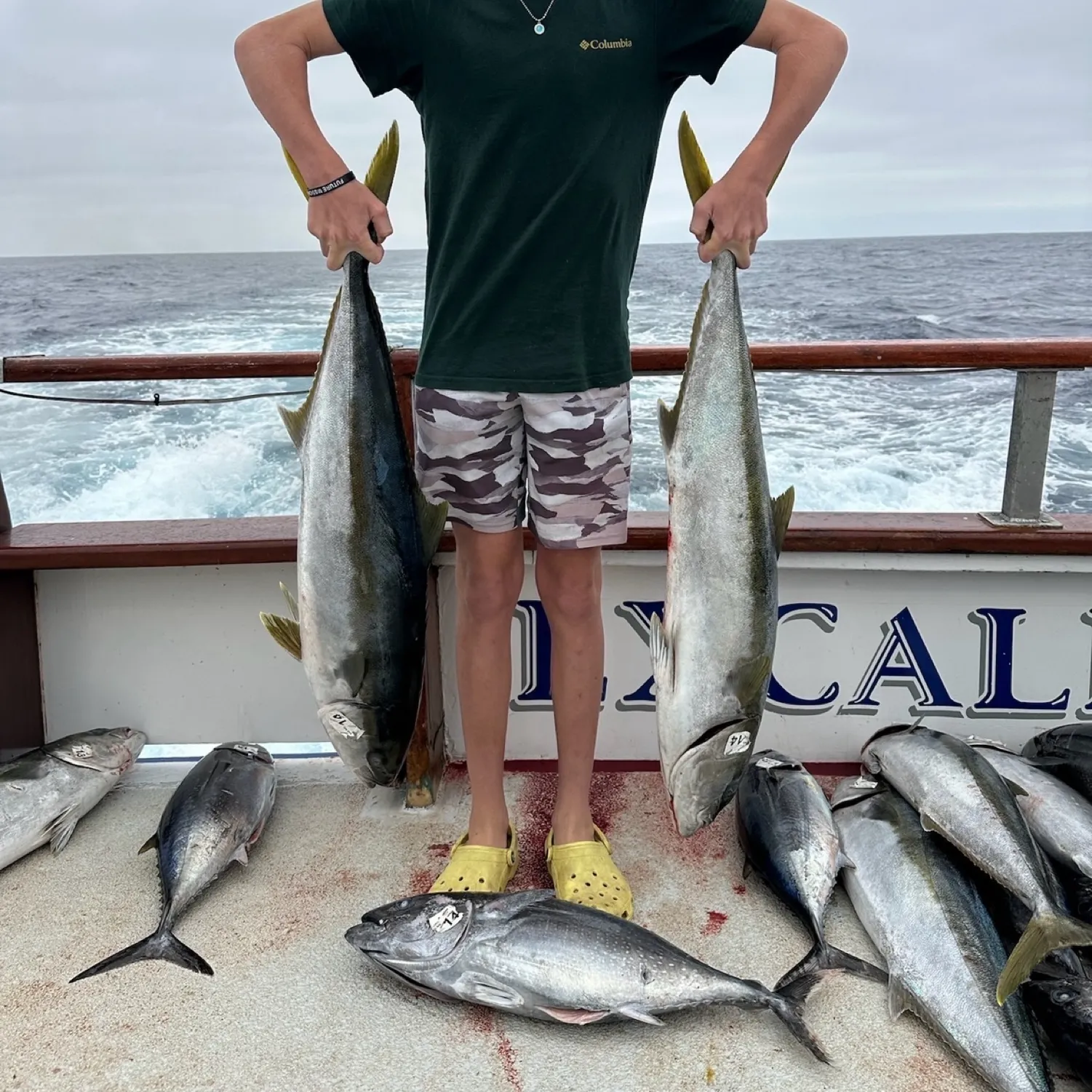 recently logged catches