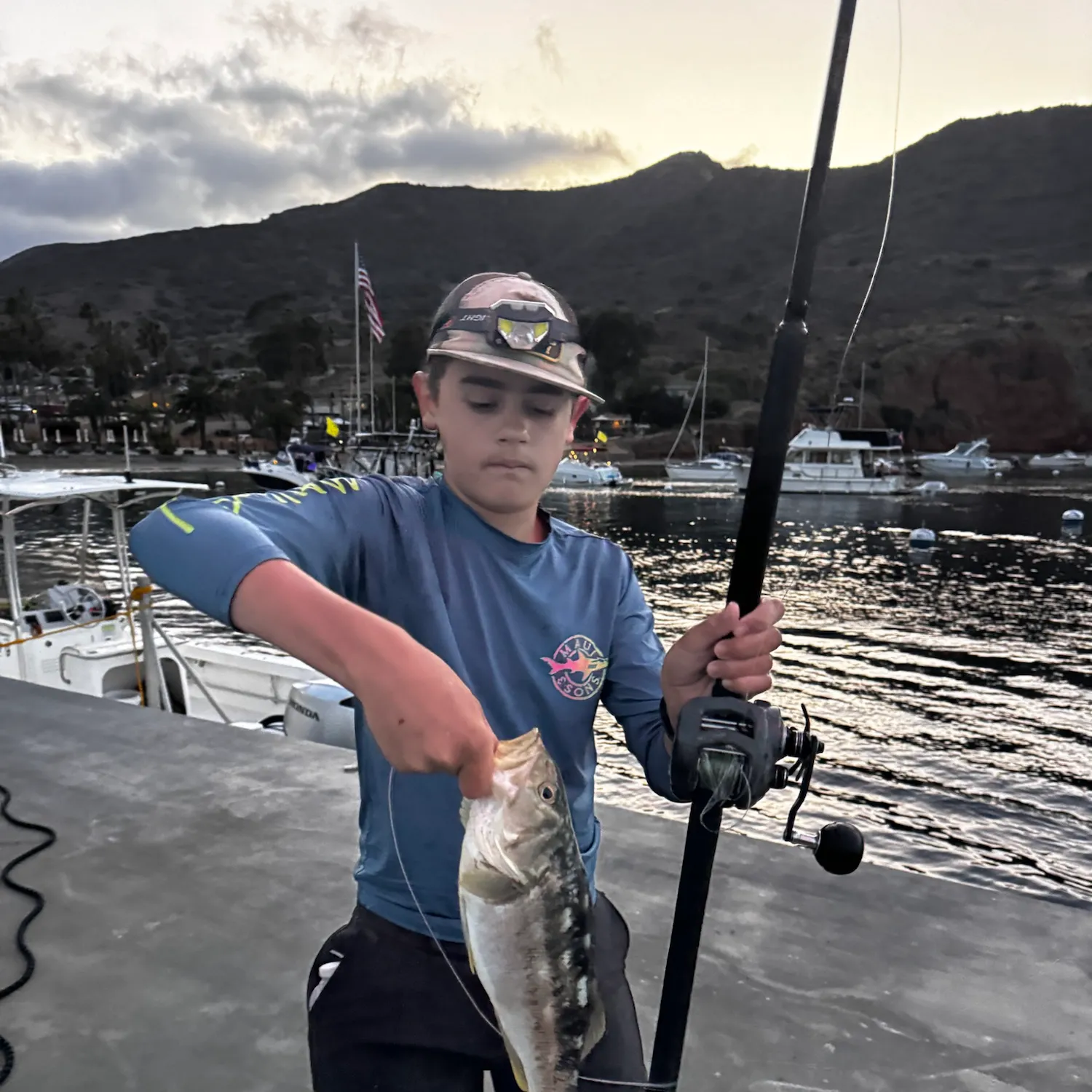 Kelp bass caught on Fishbrain