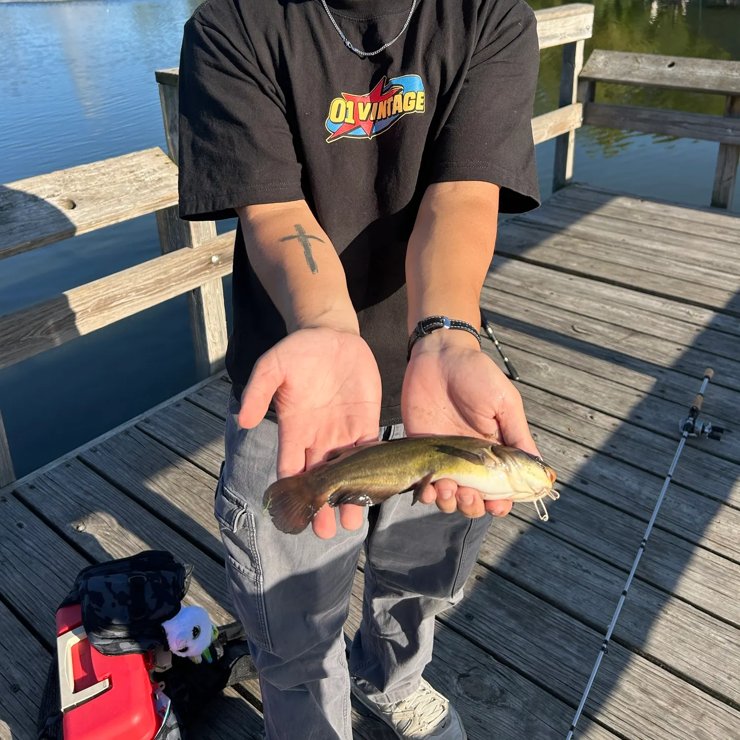 Yellow bullhead caught on Fishbrain