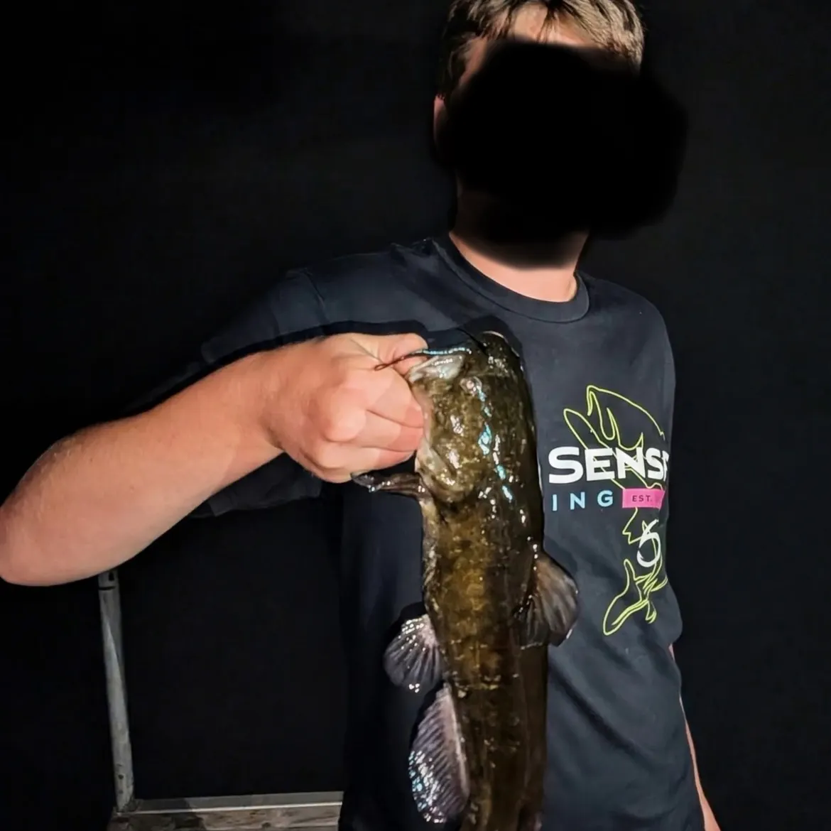 Brown bullhead caught on Fishbrain