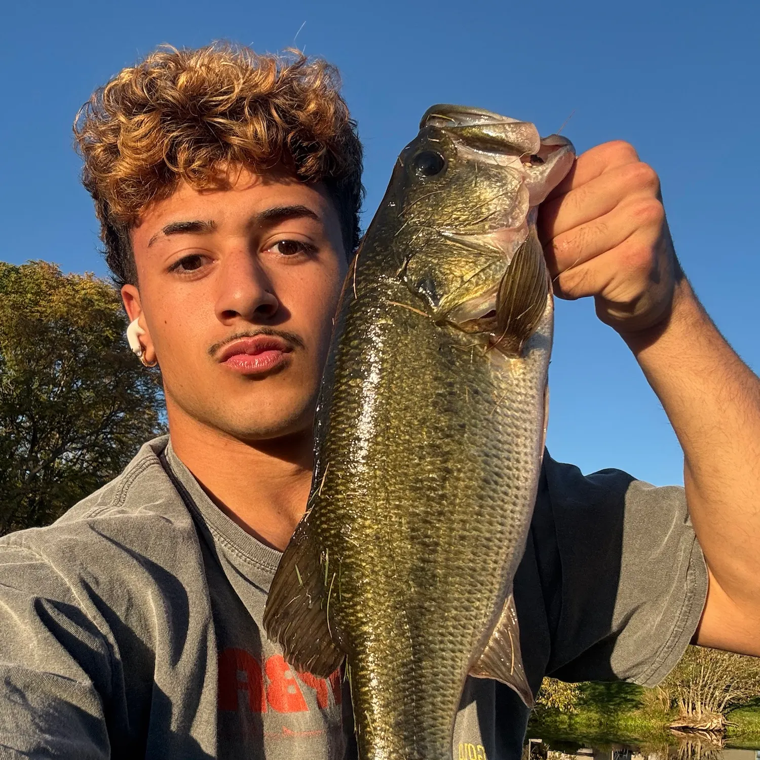 Largemouth bass caught on Fishbrain