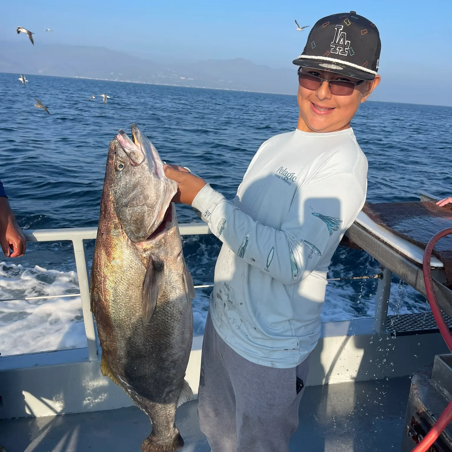 The most recent White seabass catches on Fishbrain