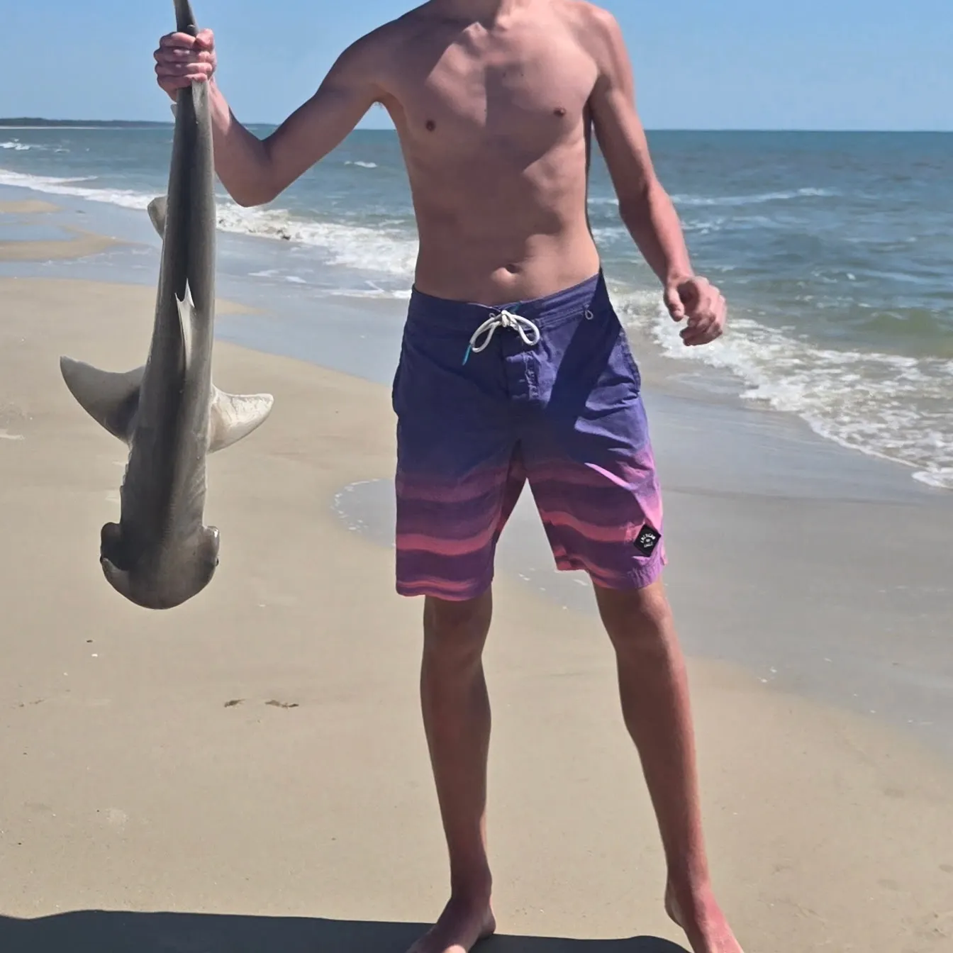 The most recent Bonnethead shark catches on Fishbrain