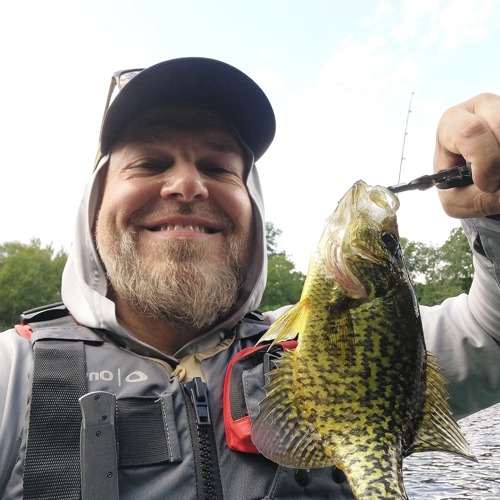 Black crappie caught on Fishbrain