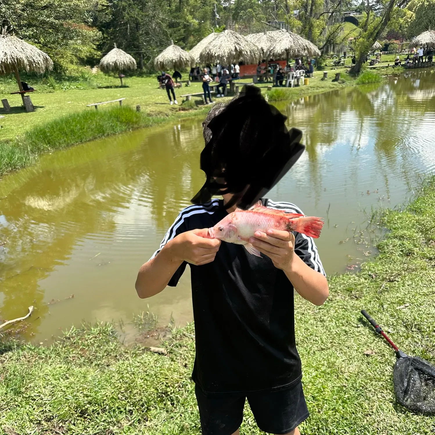 The most recent Red tilapia catches on Fishbrain