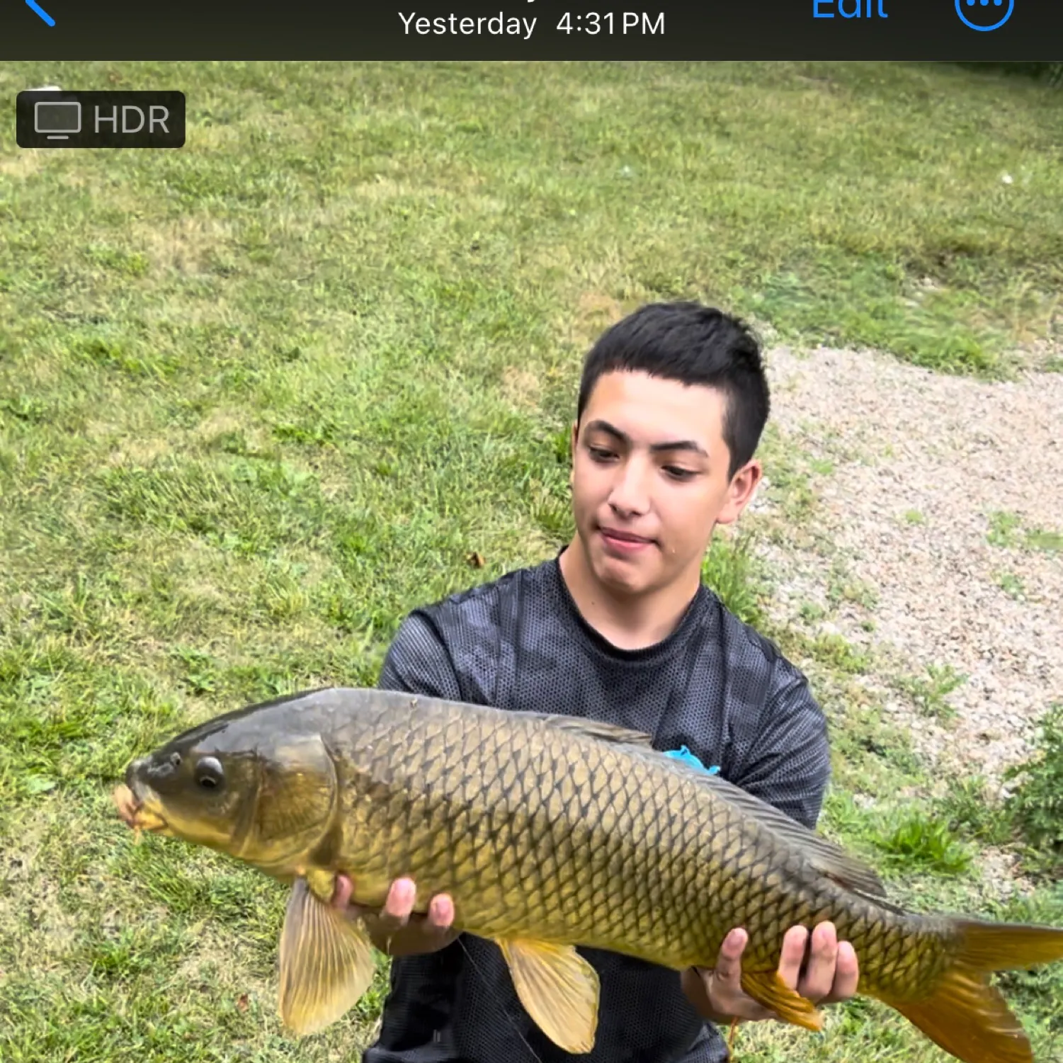 Common carp caught on Fishbrain