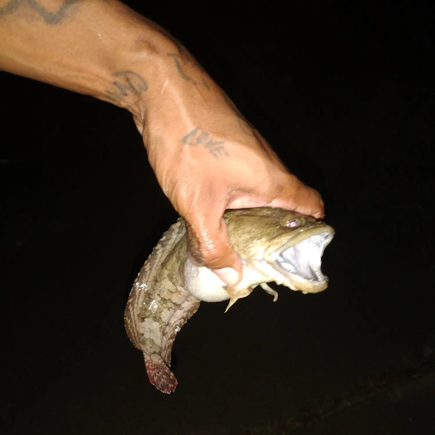 catch