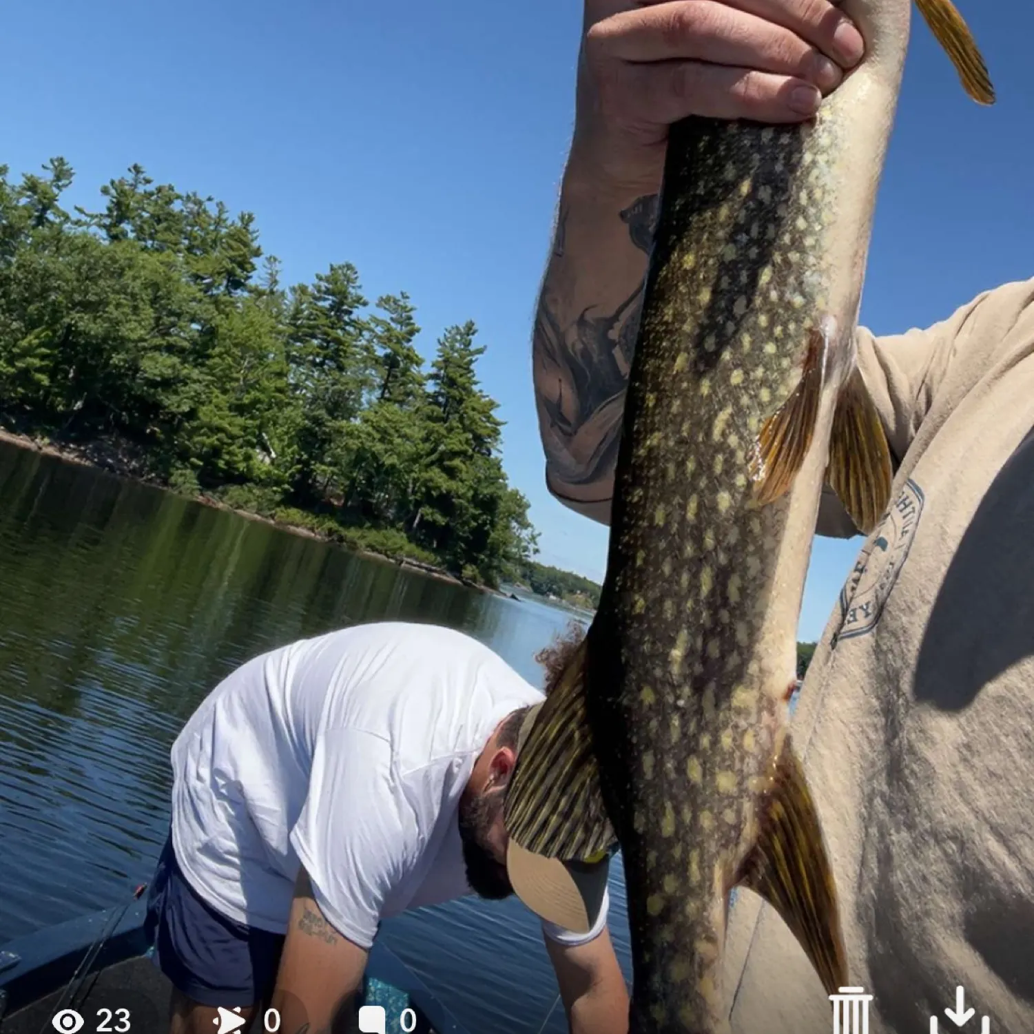 recently logged catches