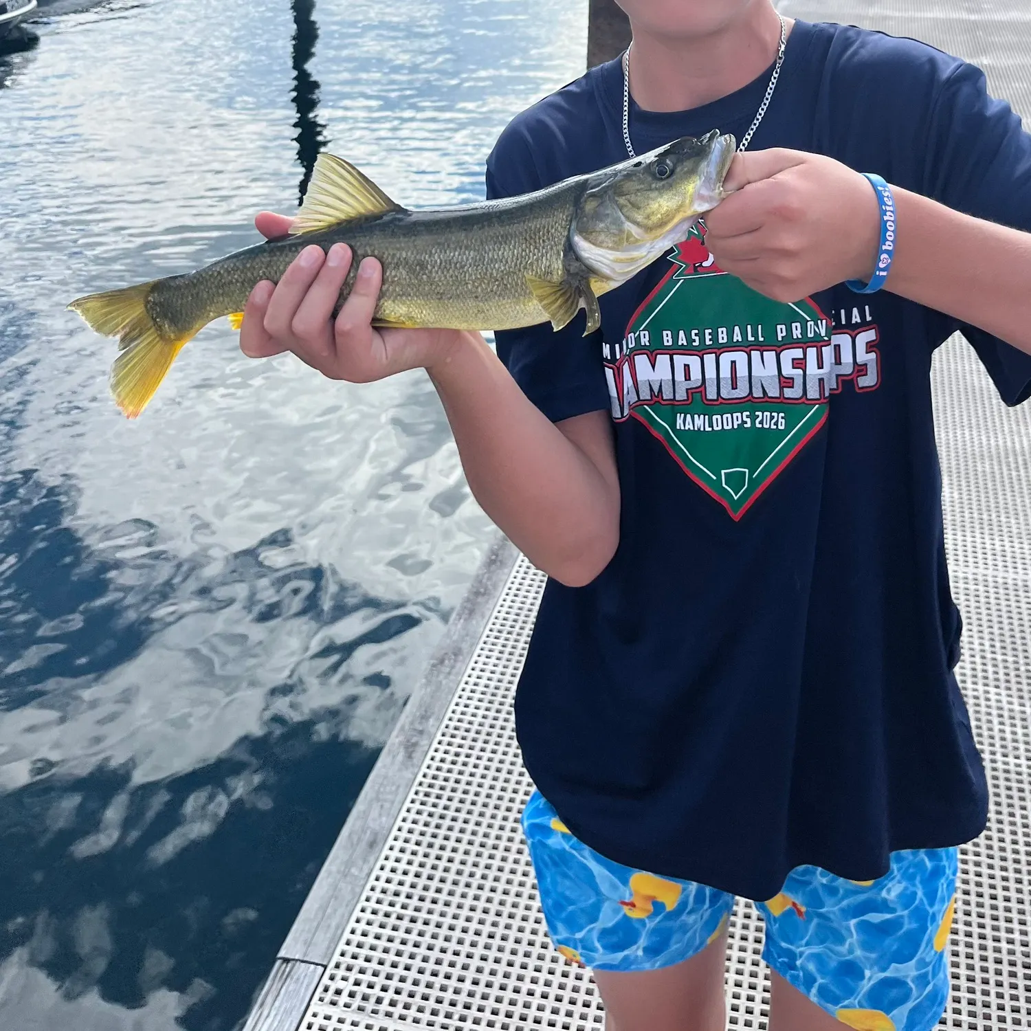 Northern pikeminnow caught on Fishbrain