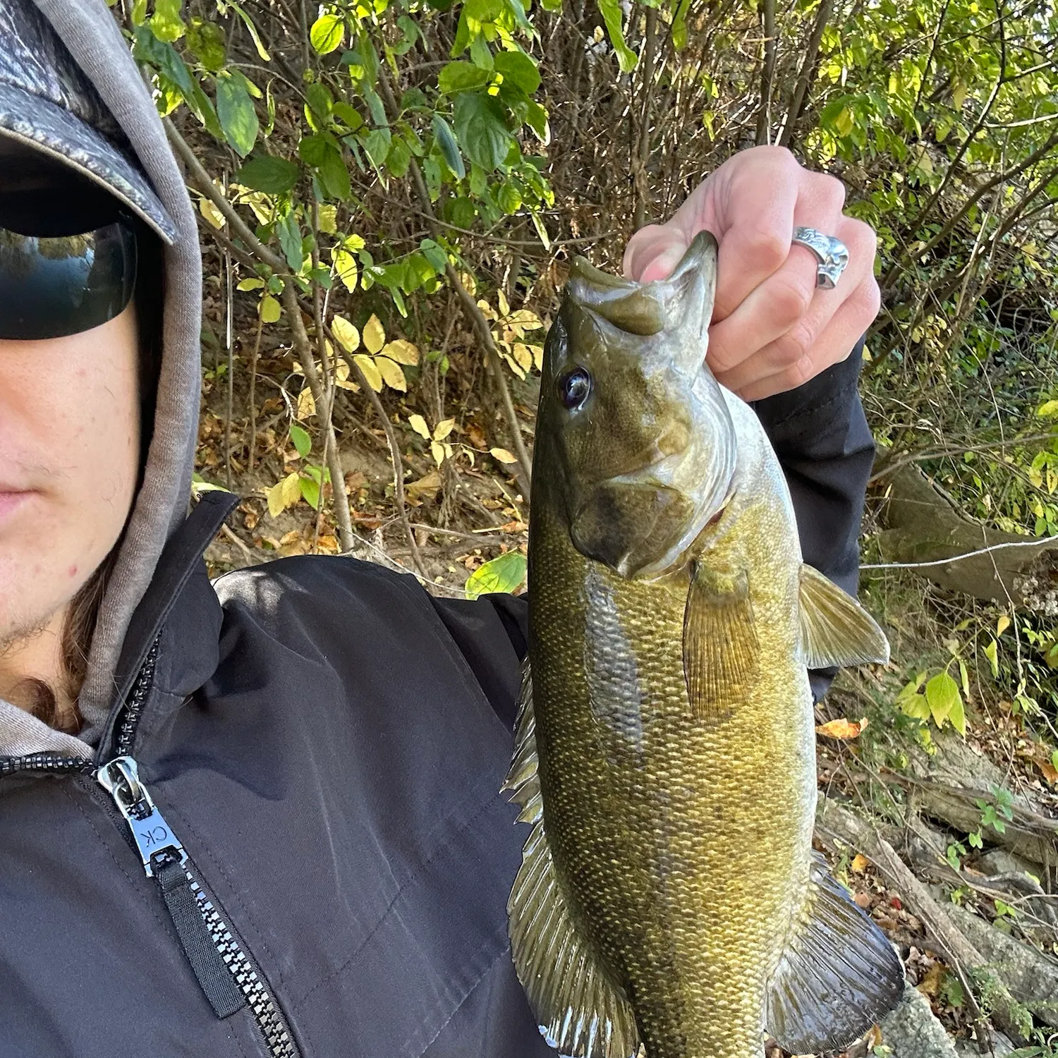 Smallmouth bass caught on Fishbrain