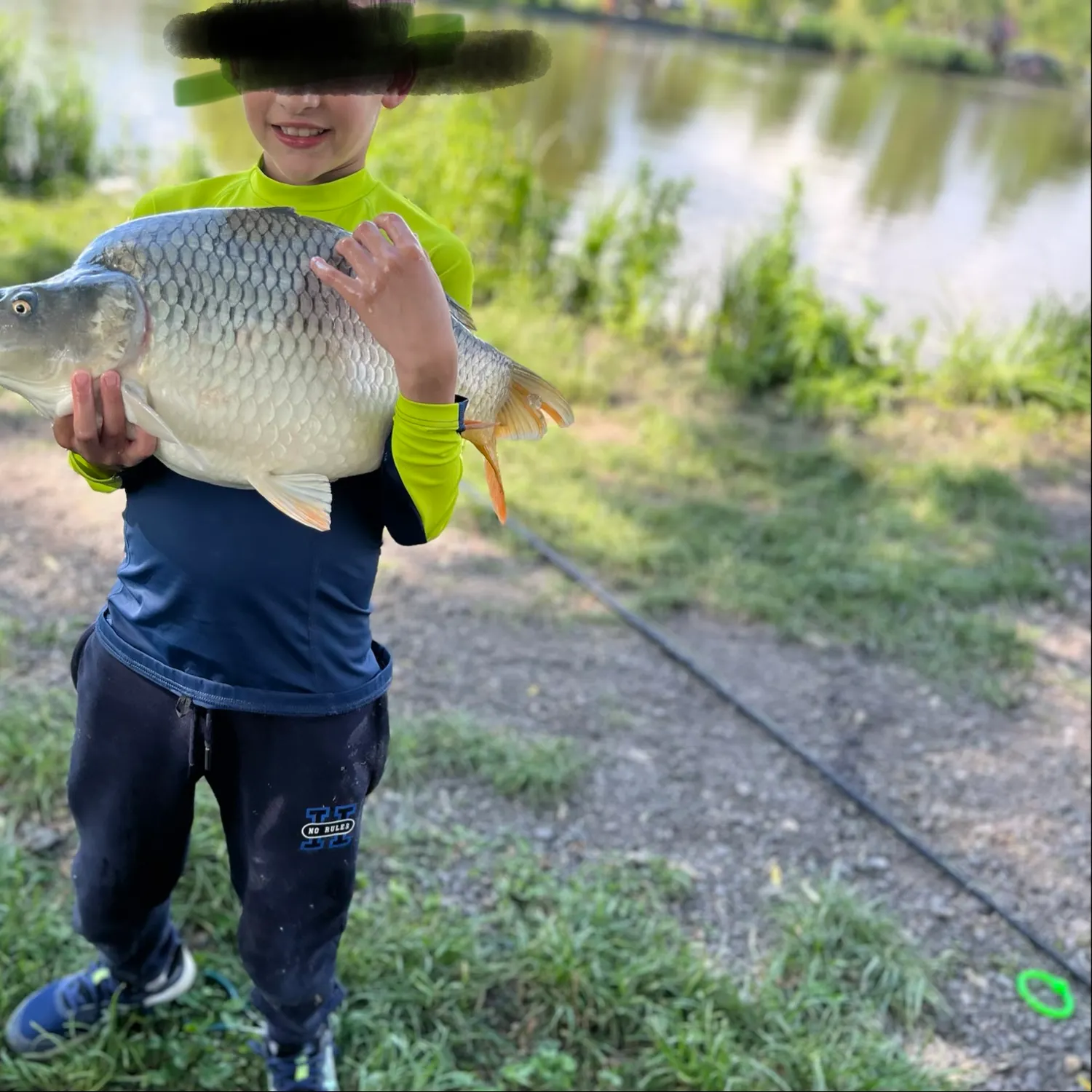 Common carp caught on Fishbrain