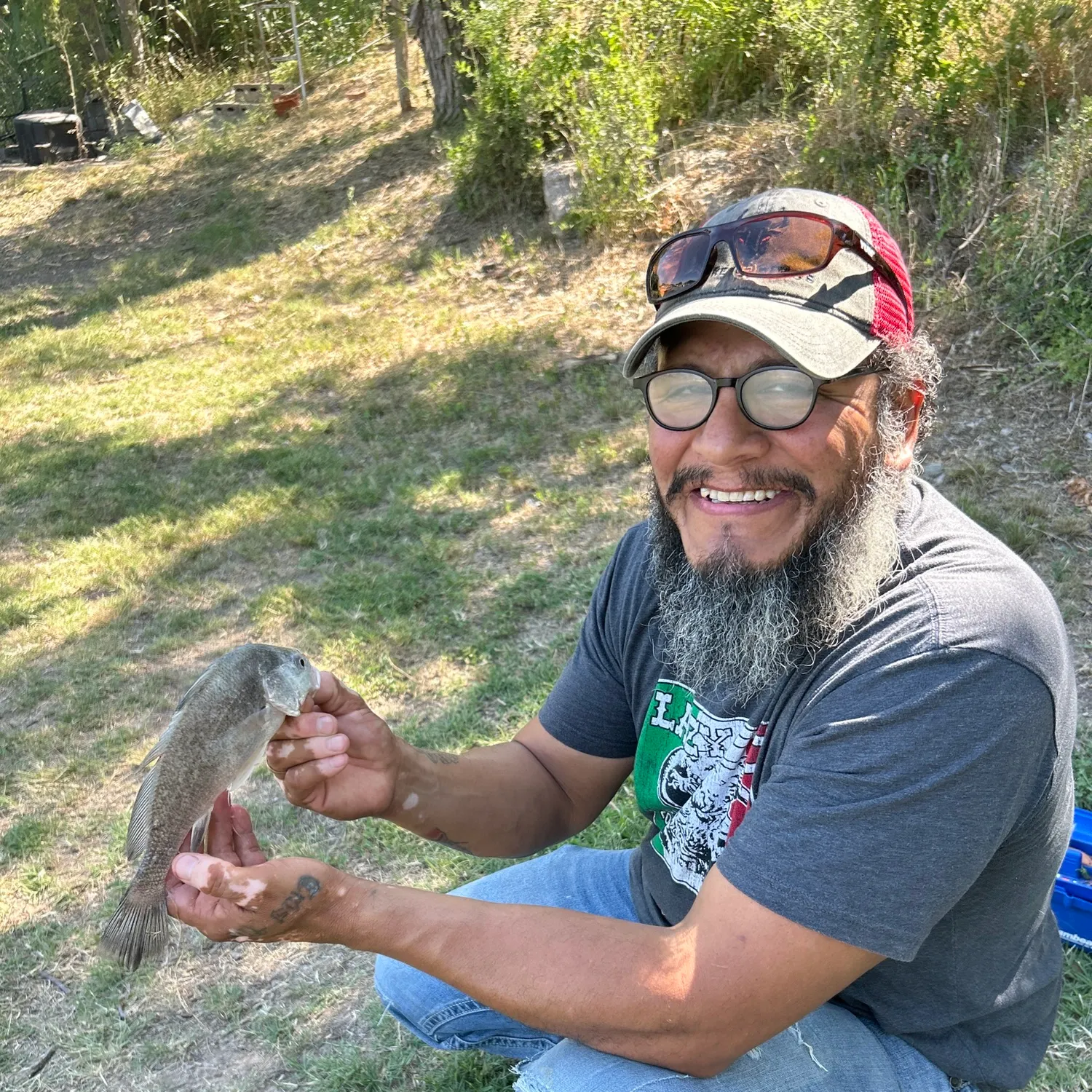 The most recent Freshwater drum catches on Fishbrain