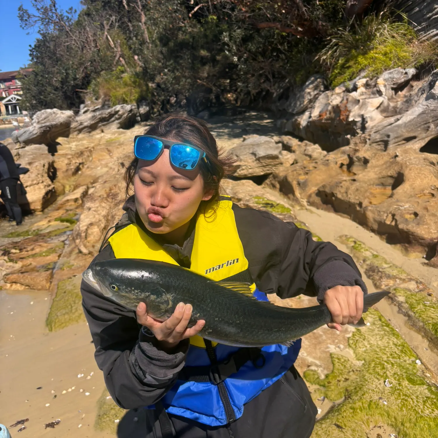 Eastern Australian salmon caught on Fishbrain