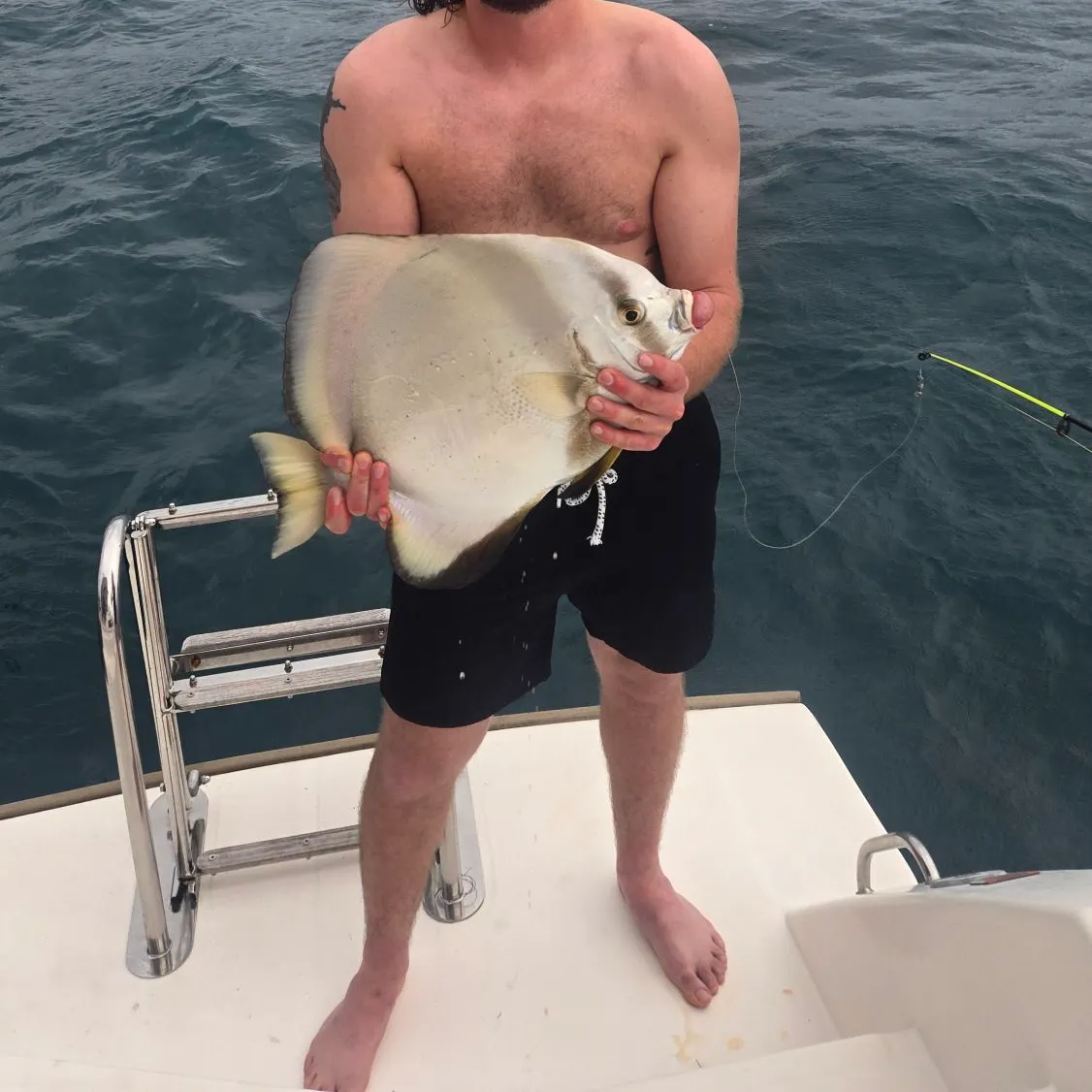 The most popular recent Orbicular batfish catch on Fishbrain