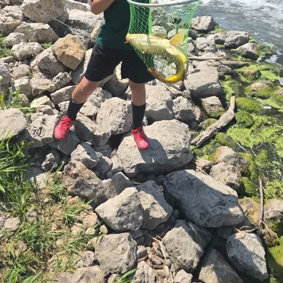 catch