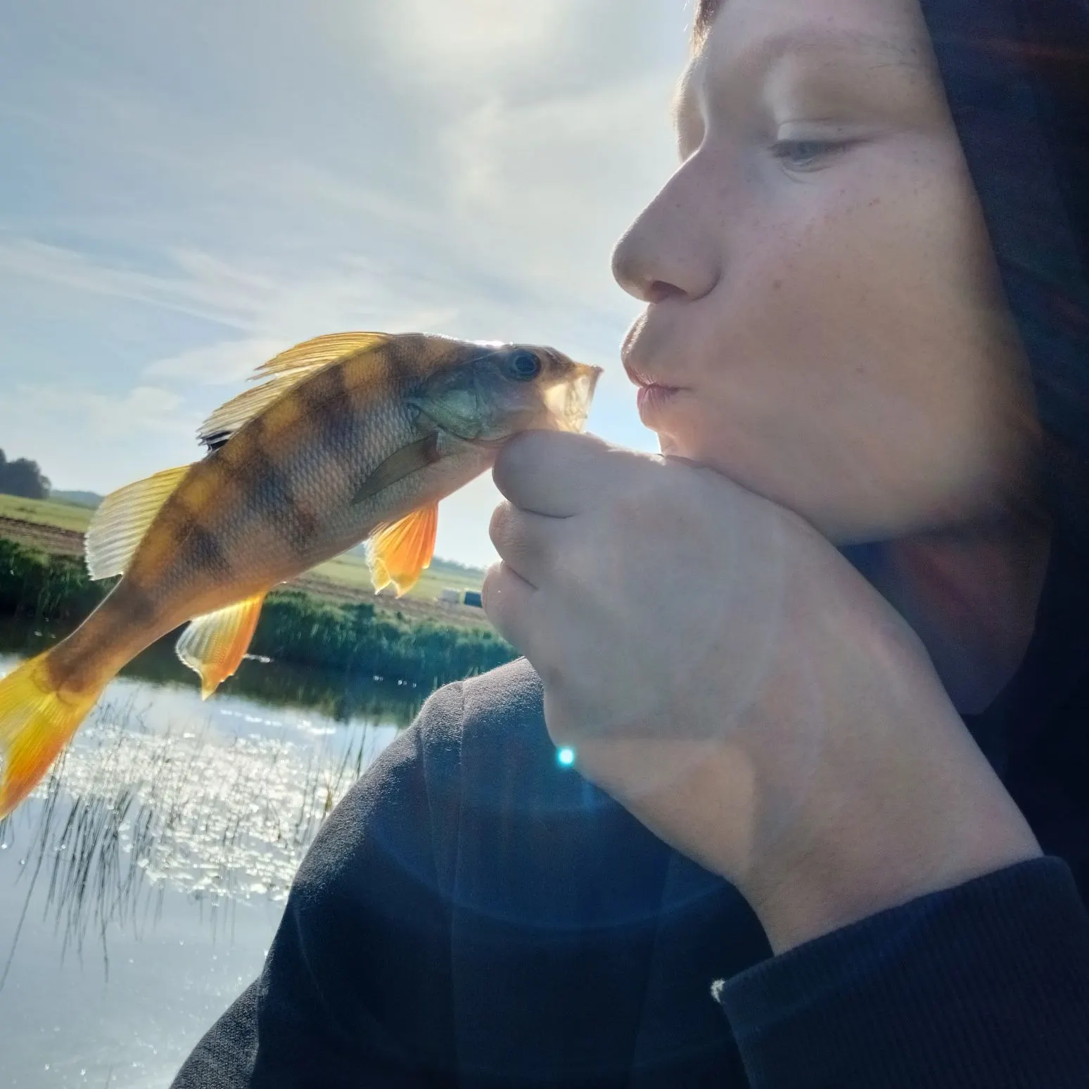 European perch caught on Fishbrain
