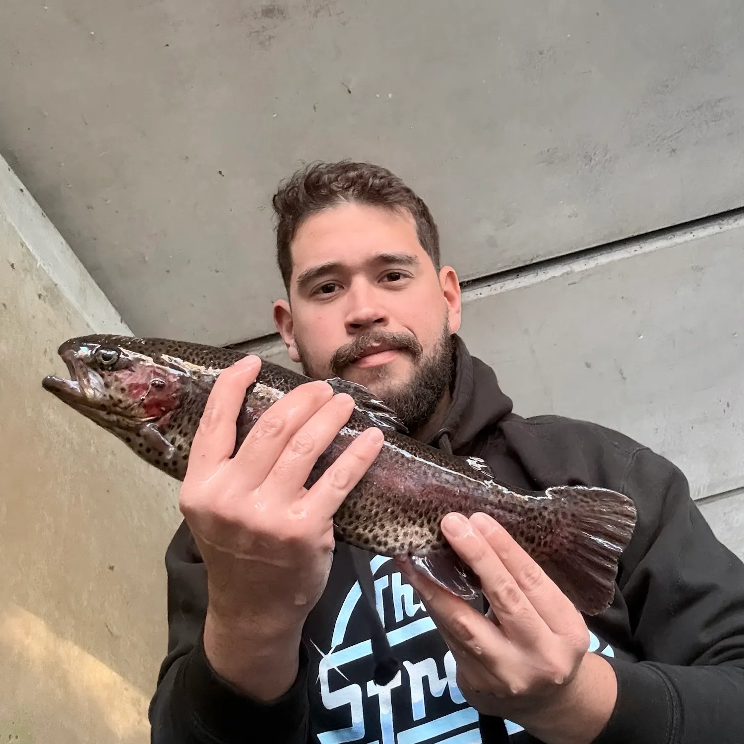 Rainbow trout caught on Fishbrain