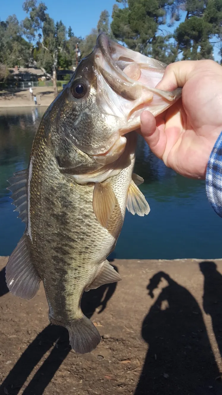 Post image from AaronMcC909