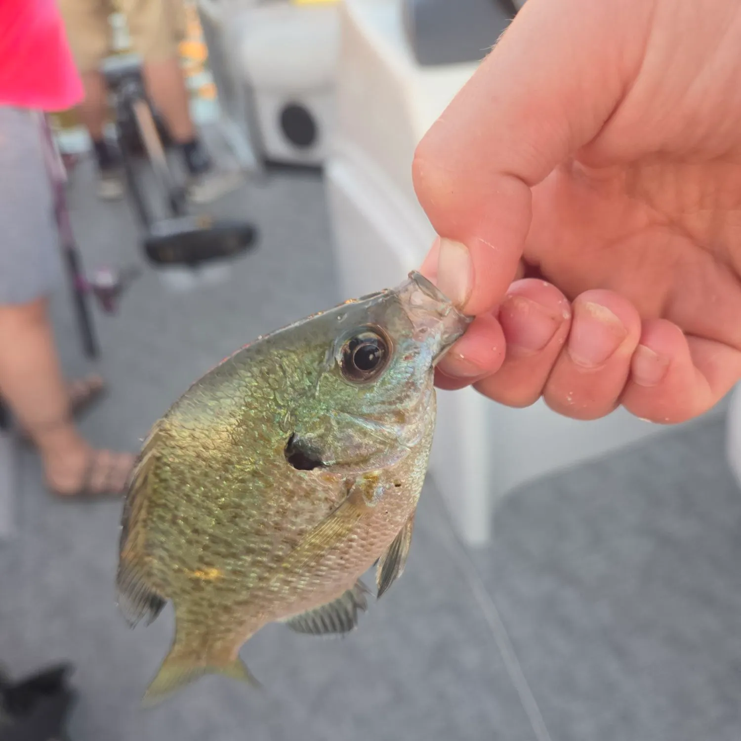 catch