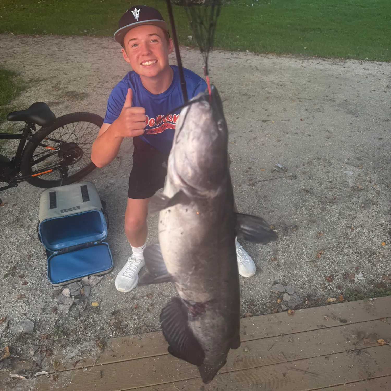 Channel catfish caught on Fishbrain
