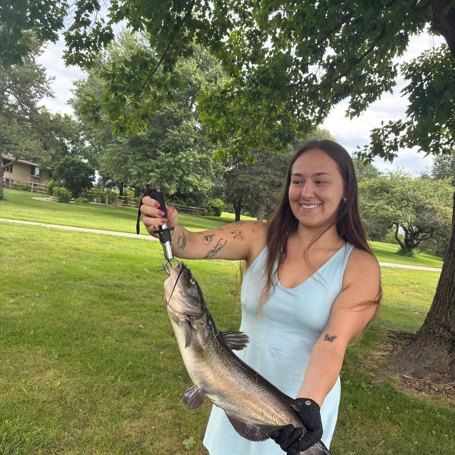 Channel catfish caught on Fishbrain